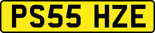 PS55HZE
