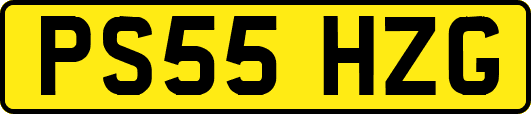 PS55HZG