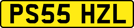 PS55HZL