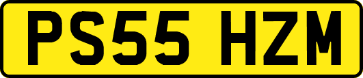 PS55HZM
