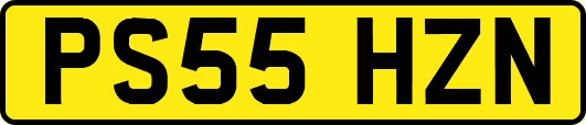 PS55HZN