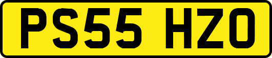 PS55HZO
