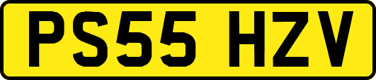 PS55HZV