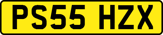 PS55HZX