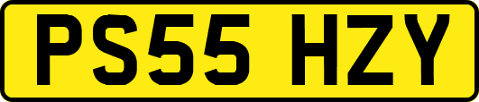 PS55HZY