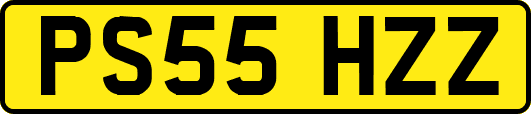 PS55HZZ
