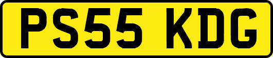 PS55KDG