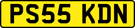 PS55KDN
