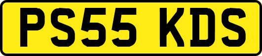 PS55KDS