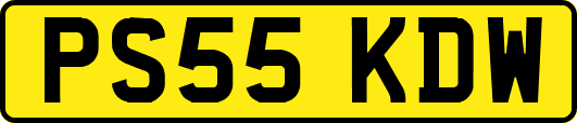 PS55KDW