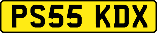 PS55KDX