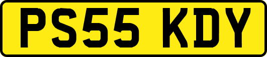 PS55KDY