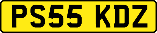 PS55KDZ