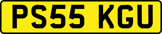PS55KGU