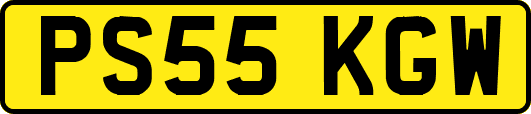 PS55KGW