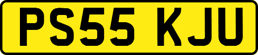 PS55KJU