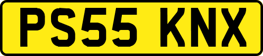 PS55KNX