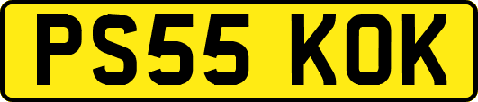 PS55KOK