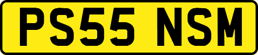 PS55NSM