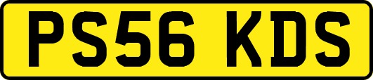 PS56KDS