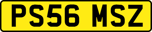 PS56MSZ