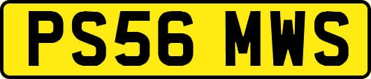 PS56MWS