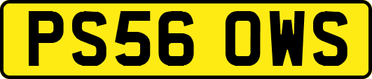 PS56OWS