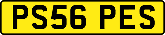 PS56PES