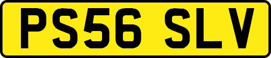 PS56SLV