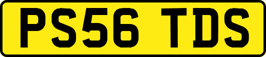 PS56TDS