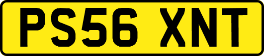 PS56XNT