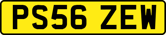 PS56ZEW