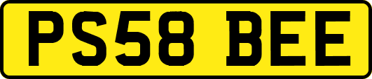 PS58BEE