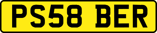 PS58BER