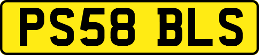 PS58BLS