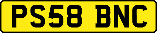 PS58BNC