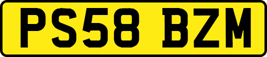 PS58BZM
