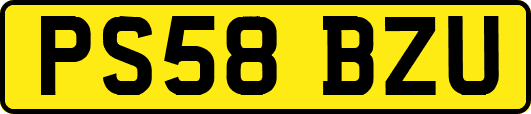 PS58BZU