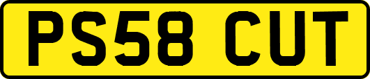 PS58CUT