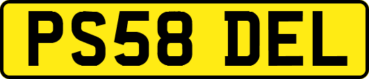 PS58DEL