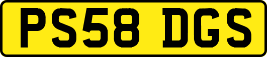 PS58DGS