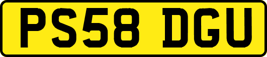 PS58DGU