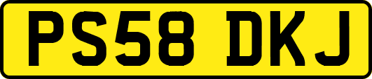 PS58DKJ