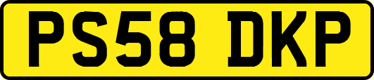 PS58DKP