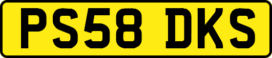 PS58DKS