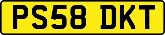 PS58DKT