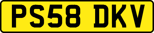PS58DKV