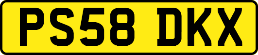 PS58DKX