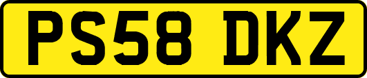 PS58DKZ