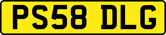 PS58DLG